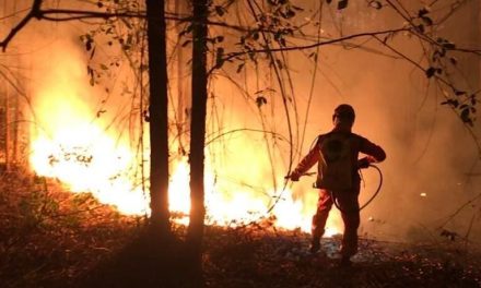 Bombeiros combatem, por 8 horas, incêndio próximo à área de reserva ambiental