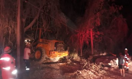 Corpo de Bombeiros combate incêndio de grandes proporções às margens da Br-354