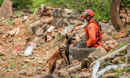 Cães participam de treinamento de buscas com bombeiros de Divinópolis