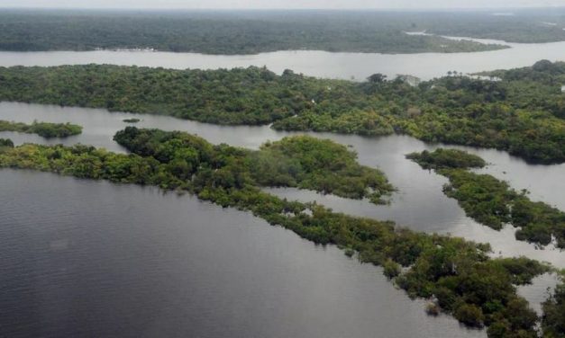 A pedido do governo eleito de Lula, Reino Unido avalia entrada no Fundo Amazônia