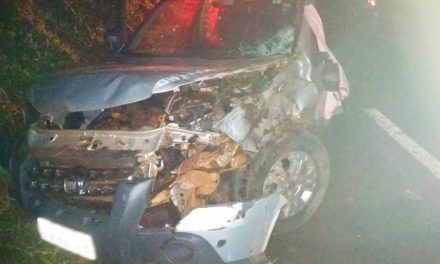 Criança morre após veículo capotar na MG-050