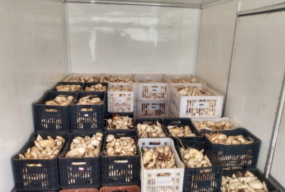 BMA tem semana produtiva na captação e distribuição de alimentos