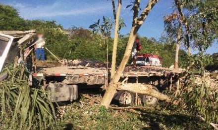 Caminhão e motocicleta se envolvem em acidente na MG-050