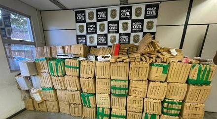 Polícia Civil apreende três toneladas de maconha na Grande BH