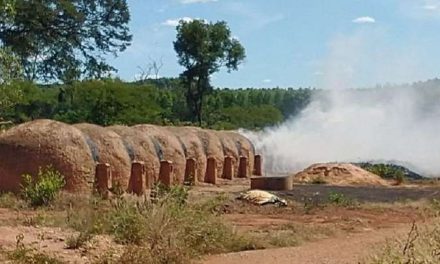 Trabalhadores em condições análogas à escravidão são resgatados em MG