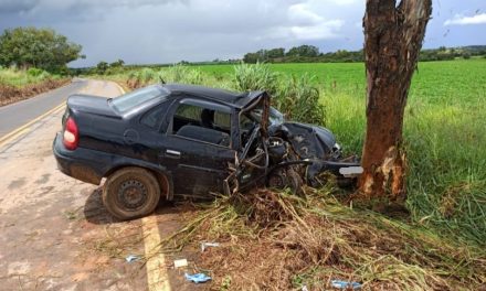 Carro colide contra árvore na LMG 827, em Bambuí