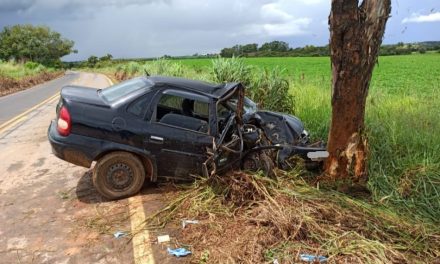 Carro colide contra árvore na LMG 827, em Bambuí