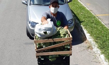 Projeto Feira Solidária recebe mais de 250 kg de alimentos