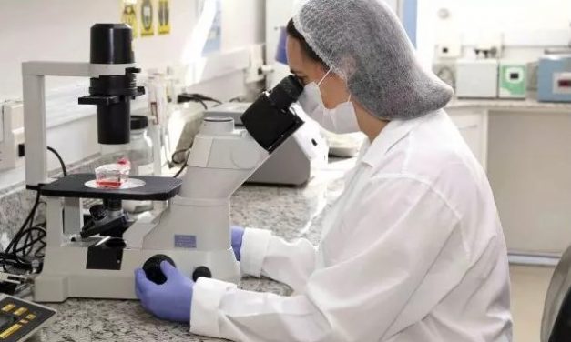 Ômicron predomina nas amostras em Minas, um mês após 1º caso