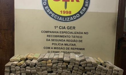 Mais de 800 kg de maconha originária do Paraguai são apreendidos em BH