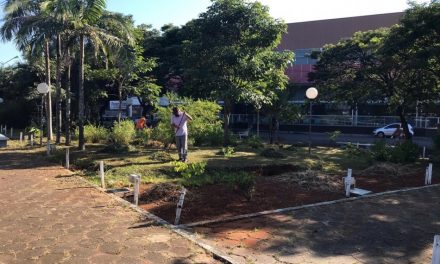 Confira as atividades realizadas pela Secretaria de Gestão Ambiental