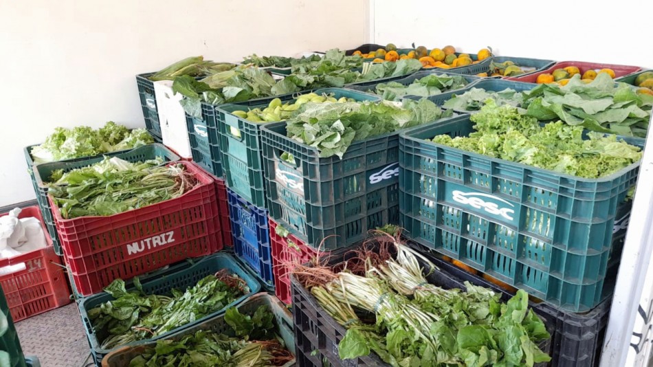 Confira as atividades realizadas pelo Banco de Alimentos nos últimos dias
