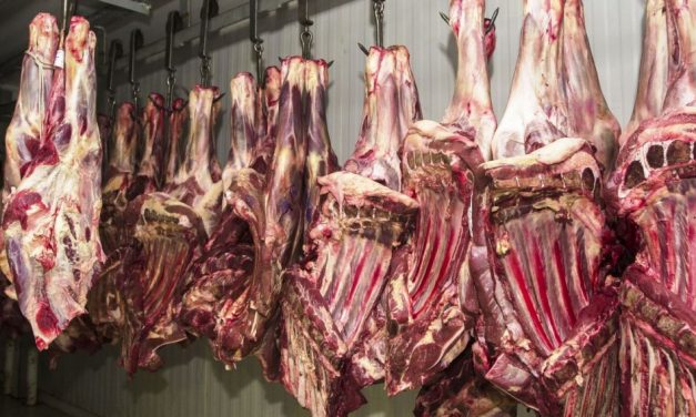 Brasil exporta 299 mil toneladas de carne bovina em agosto, segundo maior volume da história