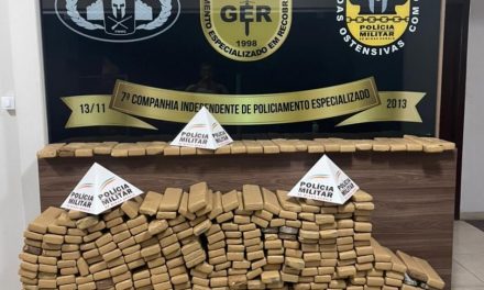 Polícia Militar realiza mega apreensão de meia tonelada de drogas em Pará de Minas