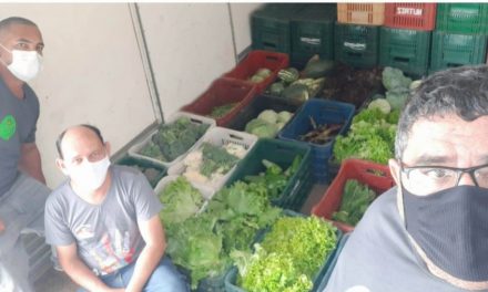 BMA recebe mais de 200 kg de alimentos do projeto Feira Solidária