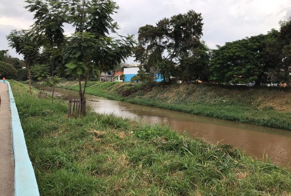 Secretaria de Gestão Ambiental divulga ações promovidas na semana