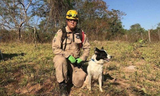 Após trégua das chuvas, bombeiros retomam buscas em Brumadinho