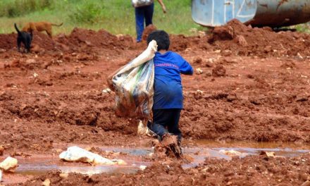 A cada dois dias, três crianças foram resgatadas do trabalho infantil em Minas