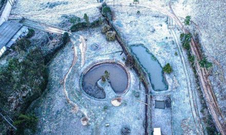 Geada intensa pode atingir 68 cidades de Minas nesta sexta; veja lista