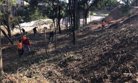 Gestão Ambiental divulga balanço semanal