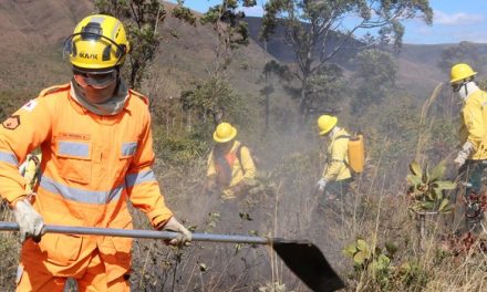 Minas lança Plano de Resposta para atendimento a incêndios florestais