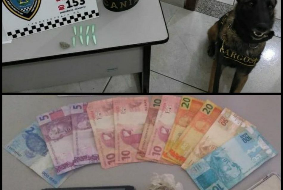 Grupo de Operações com cães atende ocorrências de tráfico de drogas em Lagoa da Prata