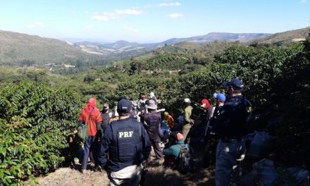 Mais de 60 pessoas são resgatadas em situação de trabalho escravo do Sul de Minas