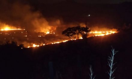 Bombeiros registram incêndio às margens da BR-354 em Iguatama