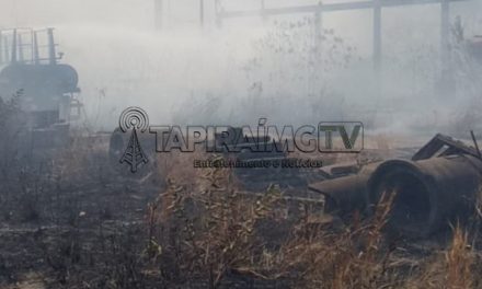 Homens tentam destruir caixa de marimbondos, provocam incêndio e acabam presos