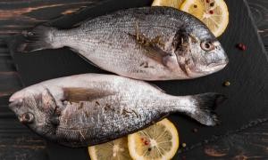 Doença ‘urina preta’ pode estar relacionada a consumo de frutos do mar