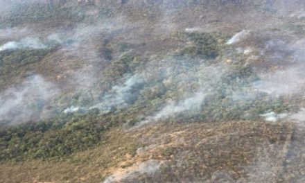 Minas registra um foco de incêndio a cada 3 minutos; estado lidera ranking de queimadas