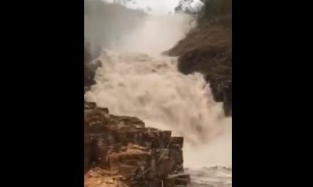 Cabeça d’água é registrada na Lagoa Azul em Capitólio