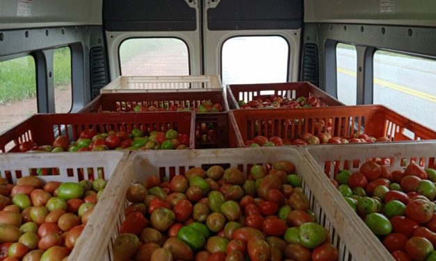 Banco de Alimentos recebe 1,6 tonelada de tomates