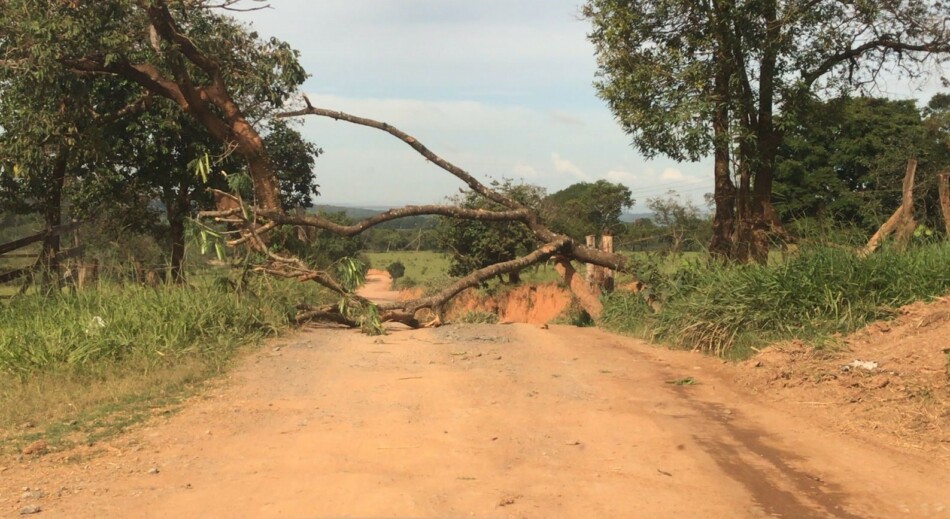 Fenômeno natural ou, algo provocado pela ação humana?