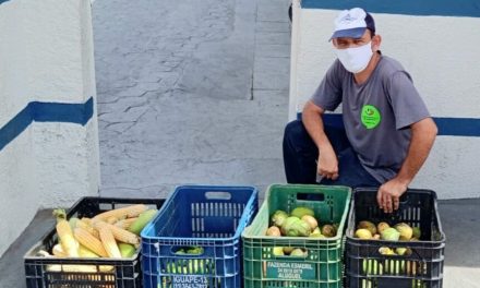 Feira Solidária recebe mais de 120 kg de alimentos