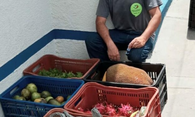 Projeto feira Solidária recebe mais de 100 kg de alimentos