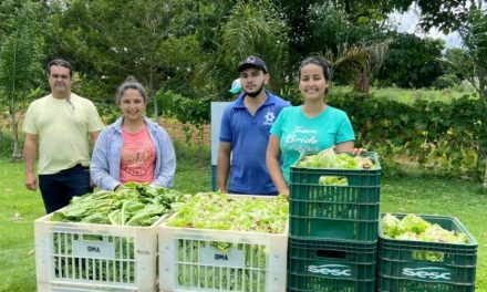 Projeto Horta Urbana inicia o ano com colheita de mais de 800 quilos de alimentos