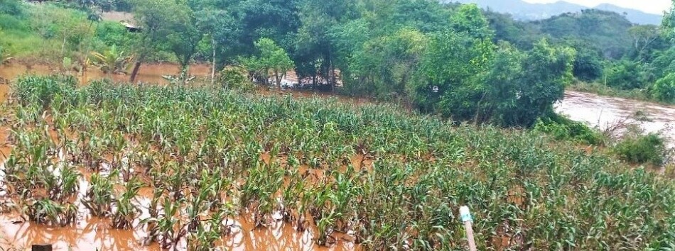 Chuvas prejudicaram quase 120 mil hectares de lavouras em Minas Gerais