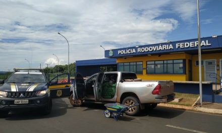 Pai e filho são detidos transportando aproximadamente 300 kg maconha na BR-262