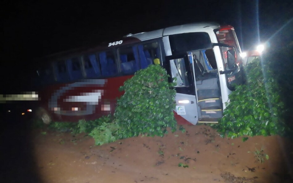<strong>Ônibus invade plantação de café no Sul de Minas, após motorista perder controle da direção</strong>