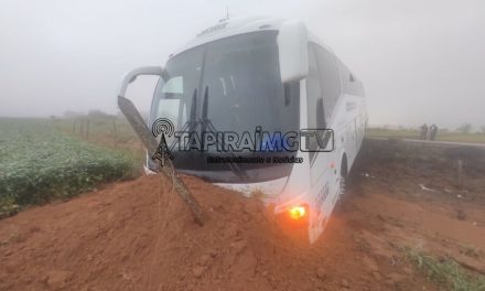 Neblina prejudica visão de motorista e ônibus com 9 passageiros sai da pista na BR-354