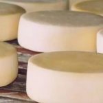 Queijo mineiro conquista prêmio e garante ao Brasil vitória inédita na ExpoQueijo