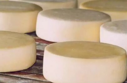 Queijo mineiro conquista prêmio e garante ao Brasil vitória inédita na ExpoQueijo