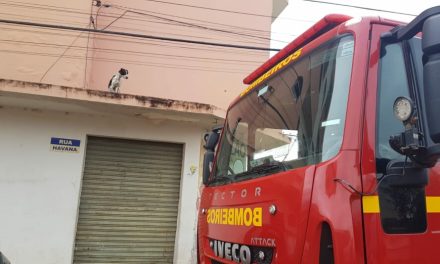 Cadela é resgatada de marquise pelo Corpo de Bombeiros, em Divinópolis