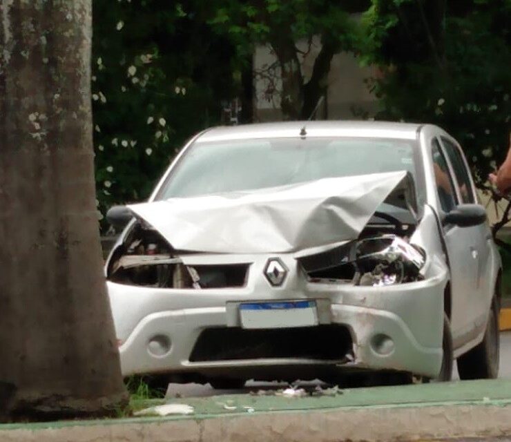 Veículo colide contra coqueiro no Terminal Rodoviário em Formiga