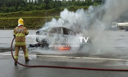 Carro pega fogo próximo a praça de pedágio na BR-262