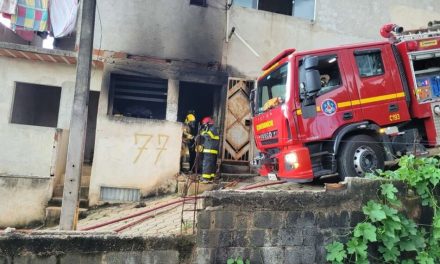 5 cães e um gato morrem após população queimar casa de suspeito de homicídio