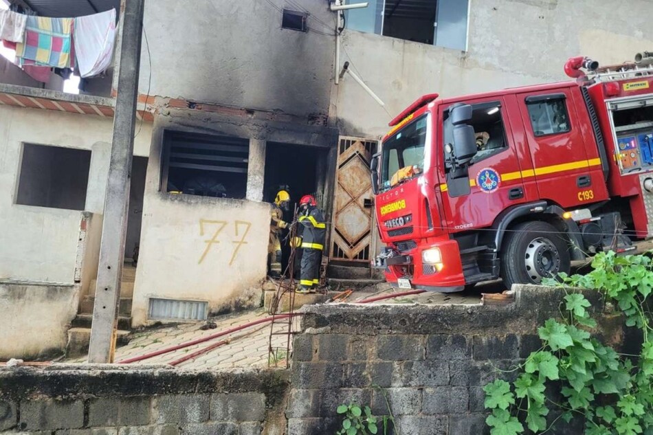 5 cães e um gato morrem após população queimar casa de suspeito de homicídio