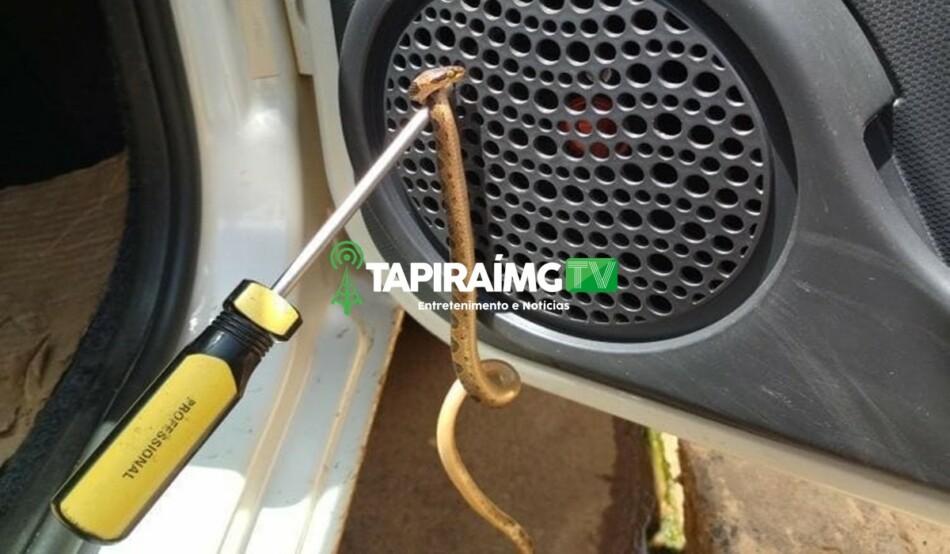 Cobra entra no carro da Assistência Social de Tapiraí e quase morde pé de passageira