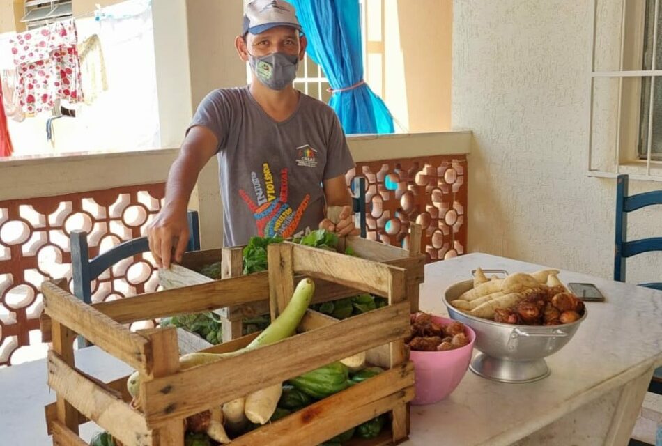 Projeto Feira Solidária recebe doação de mais de 430 kg de alimentos